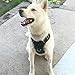 Big Dog Harness No Pull Adjustable Pet Reflective Oxford Soft Vest for Large Dogs Easy Control Harness (L, Black)