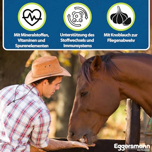 Eggersmann Mein Pferdefutter Mineral Bricks 25 kg - Mineralfutter für Pferde - Pferdefutter mit Mineralstoffen & Vitaminen zur Unterstützung des Stoffwechsels - Mit Knoblauchzusatz zur Fliegenabwehr
