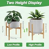 Zoom IMG-1 qumeney supporto moderno per piante Zoom IMG-1 qumeney supporto moderno per piante