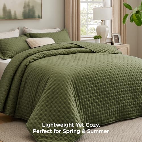 image for Bedsure Quilts Queen Size - Ultra Soft Queen Quilt Bedding Set for Mod