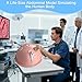 Laparoscopic Surgery Simulator - Portable Training Box with Interchangeable Modules for Medical Students & Surgical Residents, Includes Basic Skills Practice Tools