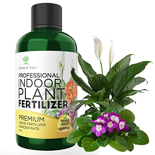 Professional Liquid Indoor Plant Fertilizer 312 Concentrate for