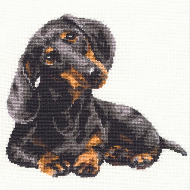 Image of RIOLIS - Dachshund 906, Dogs Cross Stitch Kits 9,84 inch x 9,84 inch, Counted Cross Stitch Kits, Counted Cross Stitch Kits for Beginners & Advanced, Cross Stitching Kits for Adults, Dog Embroidery Kit