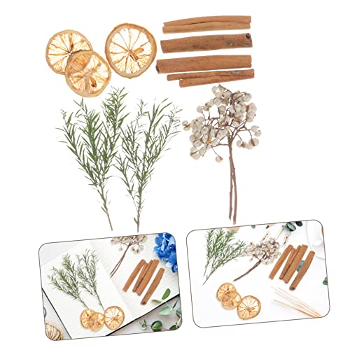 Material decorativo de flores secas para manualidades miniatura 5