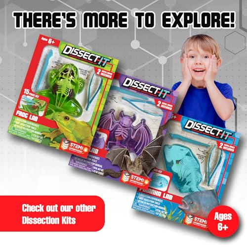 Image of Top Secret Toys Dissect-It Mini Labs Salamander Dissection Kit for Kids, Realistic Synthetic Kids Science Kit - On, Biology and Animal Anatomy, STEM Toy, Ages 6+