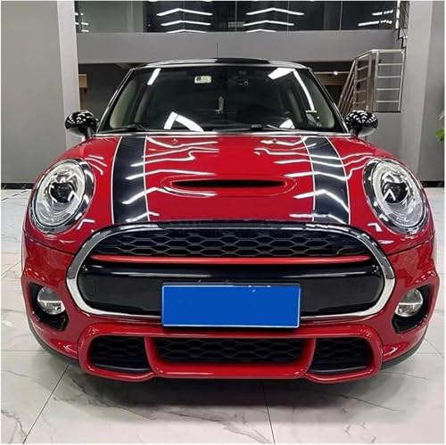 Grille phares antibrouillard pour remplacer calandre Mini Cooper S fissurée