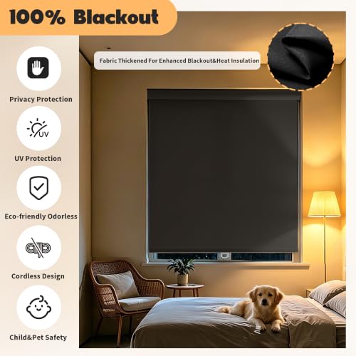 Image of Niche Blinds Cordless Blackout Roller Shades with Valance,Black,33 inch Wx72 H