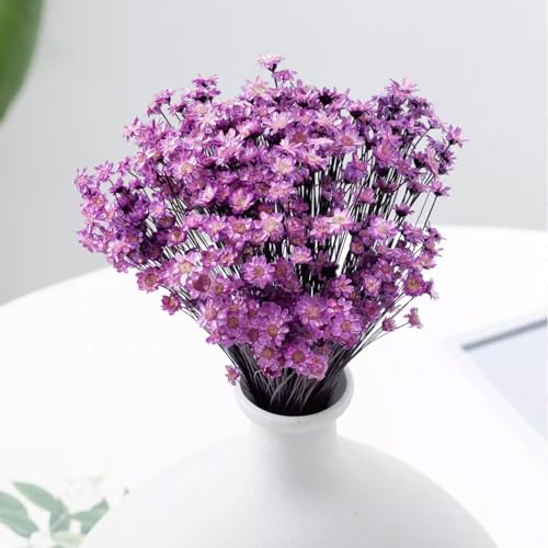 300 PCS Brazilian Daisy & Mini Daisy Dried Flowers, Purple, Baby's Breath - Image 3