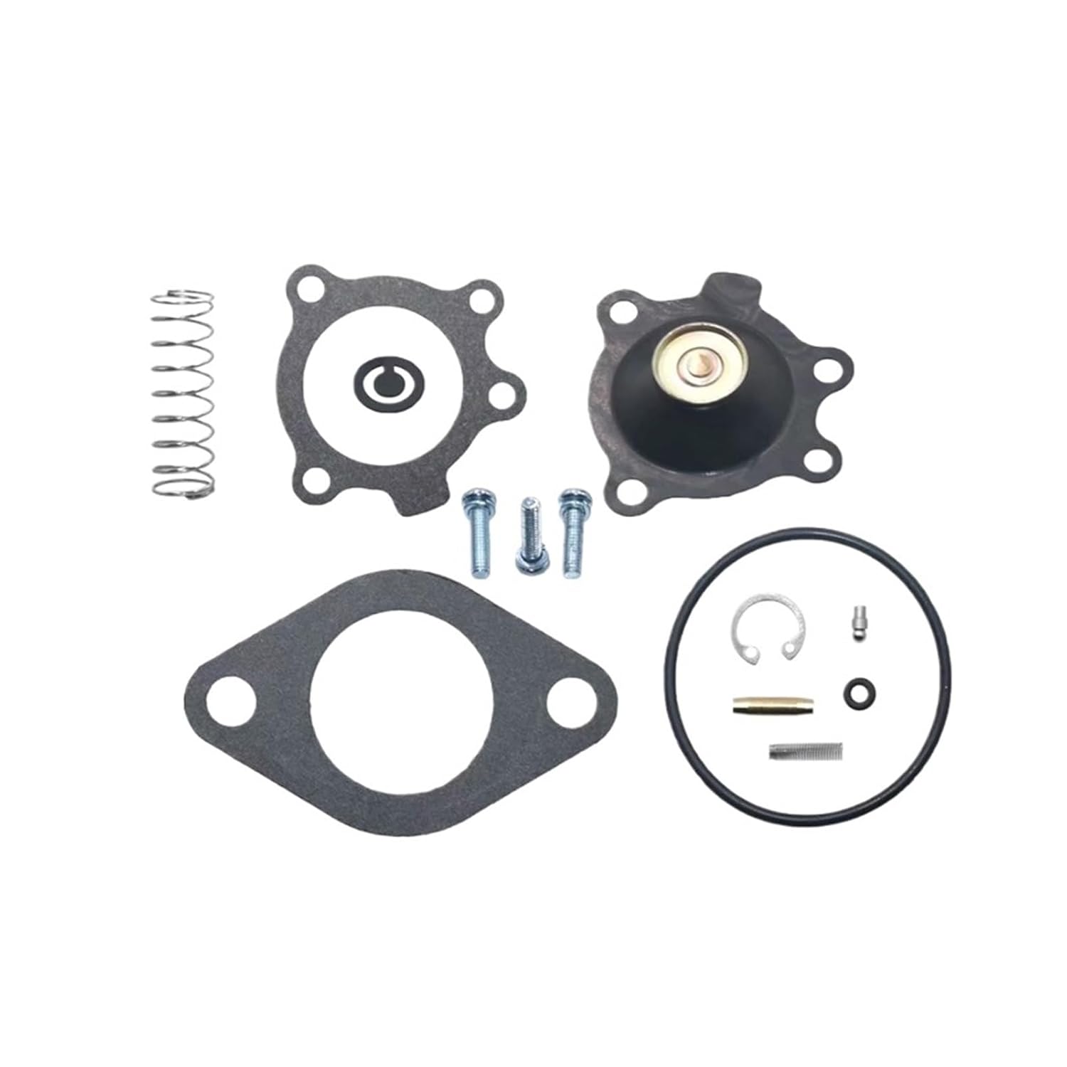Carburetor Accelerator Pump Repair Kit Fits Compatible with Onan Nikki 0146-0658 146-0658