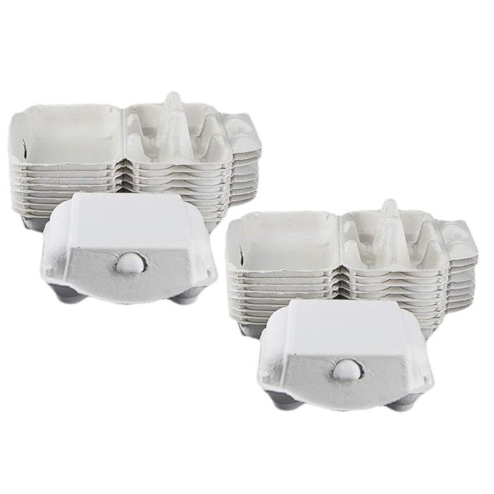 Buy Hemoton Chicken Egg Cartons Biodegradable Egg Carton 6 Cell Egg