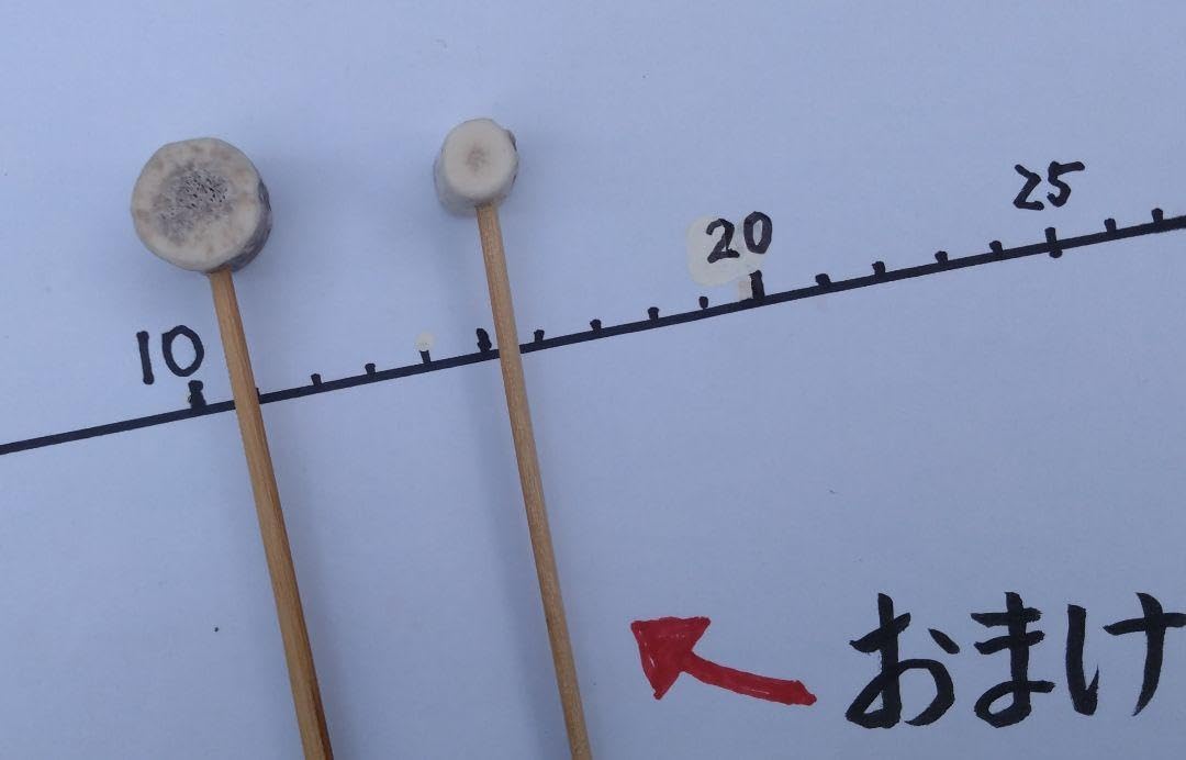 Amazon.co.jp: 鉦、チャンチキ用のバチ（撞木) no.152 : 楽器