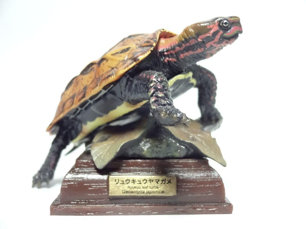 海洋堂 naturetales リュウキュウヤマガメ リュウキュウヤマガメ naturetales 琉球山亀 松村しのぶ 海洋堂