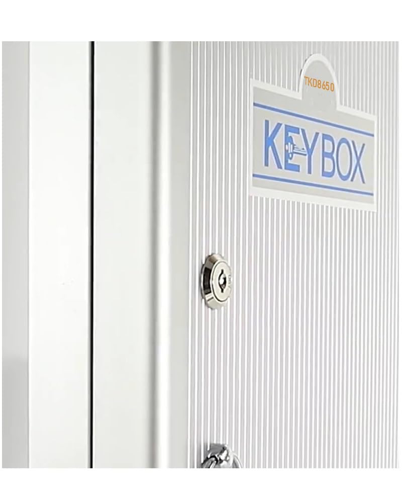 TUKA-i-AKUT Armario de Llaves para 96 Llaves, Metal Caja para Llaves con Cerradura y Llavero, Montaje en Pared, Caja de Almacenamiento para Guardar Llaves de Aleación de Aluminio, TKD8650-96