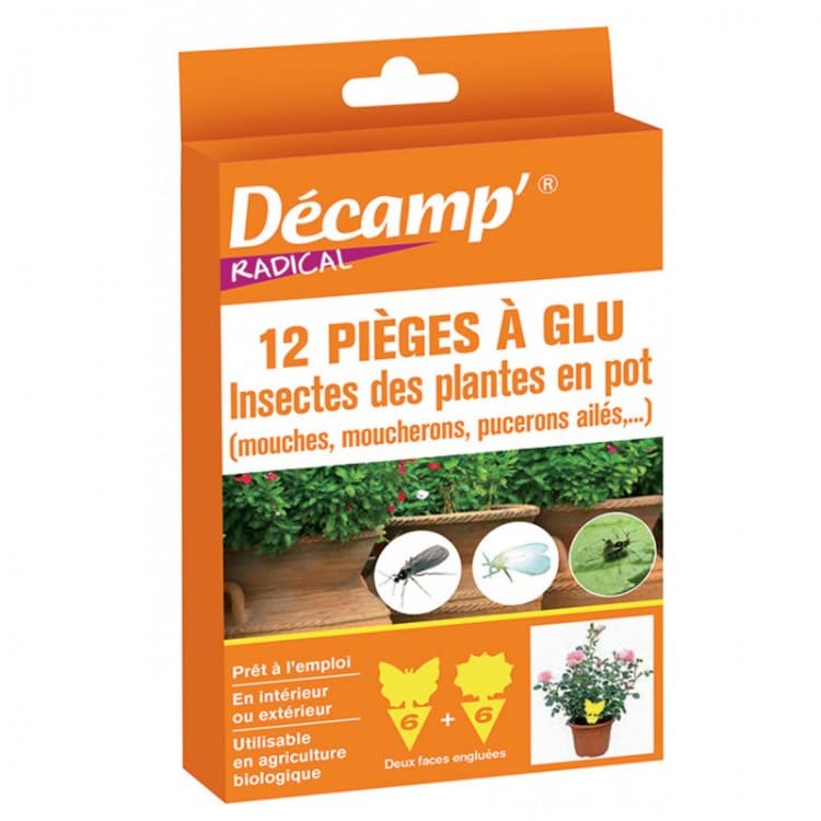 Piège glu insectes plantes en pot pour sauver vos fleurs de la maison