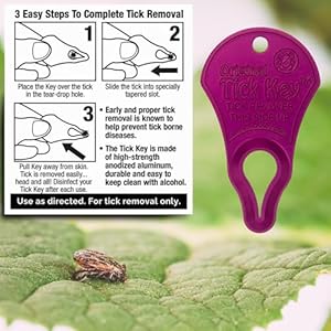 The original tick key  tick detaching device  portable safe and highly effective tick detaching tool rainbow 7 pack   cucciolini doodles