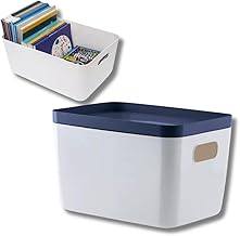 Caixa Organizadora Multiuso 25x41x32,cm Branca com Tampa Azul