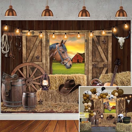 Toile de fond cowboy en bois rustique pour fête d'anniversaire enfants et adultes 248x178cm