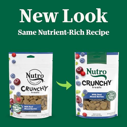 NUTRO-Crunchy-Dog-Treats-with-Real-Mixed-Berries-10-oz-Bag NUTRO Crunchy Dog Treats with Real Mixed Berries 10 oz Bag