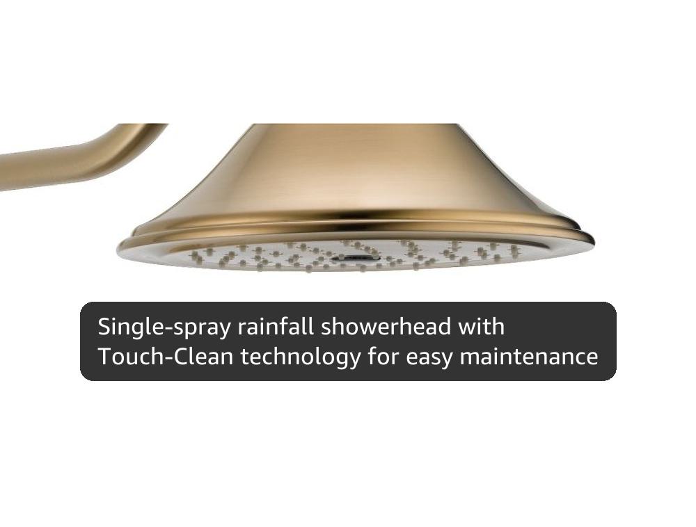 Delta Faucet Cassidy 17T Series Dual-Function Shower Trim Kit with