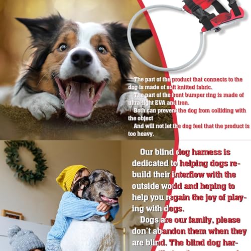 Halo Blind Hundegeschirr – Anti-Kollisions-Ringführungsgerät | Schutz und Vertrauensaufbau für blinde Hunde und Katzen, Kragenweste für blinde Haustiere, bequemes Geschirr für – Bild 5