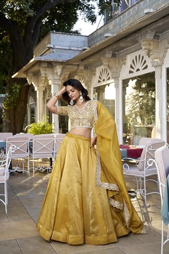 Image of LooknBook Art Womens Women Lehenga Choli