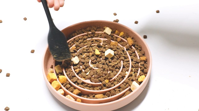 Amazon.com : Coomazy Slow Feeder Dog Bowls, Silicone Dog