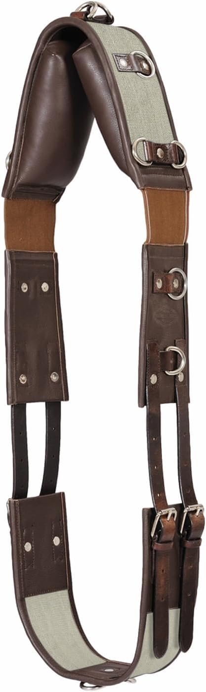 Henri de Rivel Training Surcingle