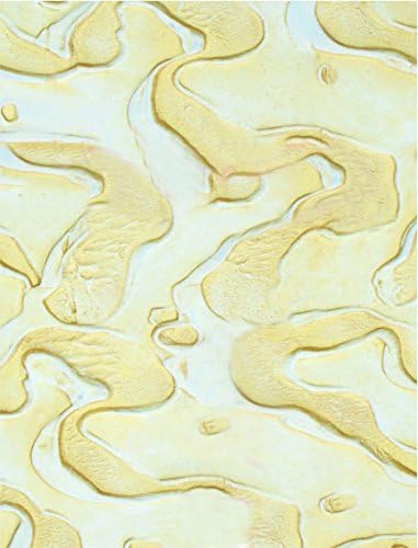 Bon Tool 13-450 Ocean Floor Stucco Texture Roller, 7" image 3