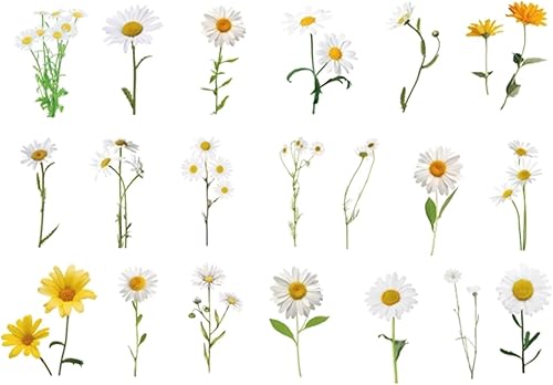 Miniatura 6 de Calcomanías de flores naturales con rosa margarita tulipán girasol orquídeas calcomanías florales de vinilo para juguetes regalos planificador