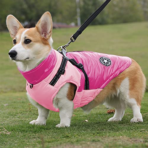 Hundemantel Winter, RosyFate Hund Warm Kleidung, Welpen Jacke, Weste Hund, Hunde Mantel Regendicht Winddicht, Hundemantel für Kleine und Mittlere Hunde (Rosa L)