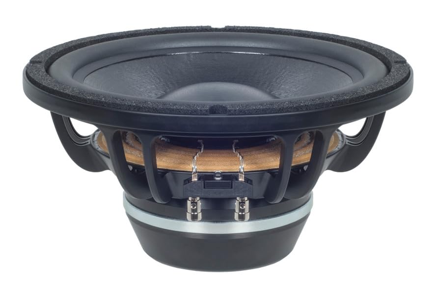 B&C Speakers 10BG76-8 LF Drivers 10-Inch NEO Rolled Edge Woofer 8-Ohms 500-Watta Rms 1000-Watts Max Pro Audio Component Speaker Driver for Motorcycle Car
