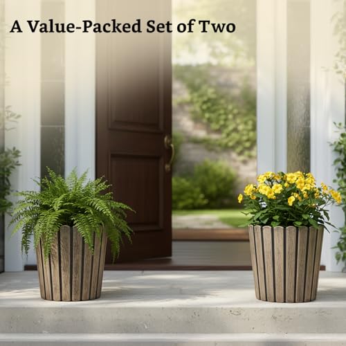 Image of Amazon Brand- Solimo Indoor and Outdoor Round 12 Inch Thai Flower Planter Pot Best for Terrace /Balcony /Home /Office Decor - Set of 2