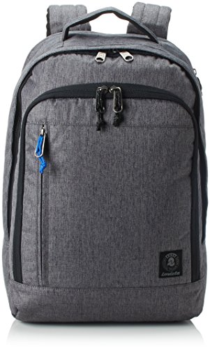 Preisvergleich Produktbild Invicta Office Daily 2 Rucksack, 46 cm, Grau (841)