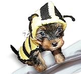 XXS Small Dog Sweater Bee Dog Costume XX Small Dog Clothes Teacup Chihuahua Yorkie Puppy Clothing Hoodie