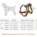 Beirui Leather Dog Harness - No Escape Pet Harness Chest 28-32” for Medium and Large Dogs Pets