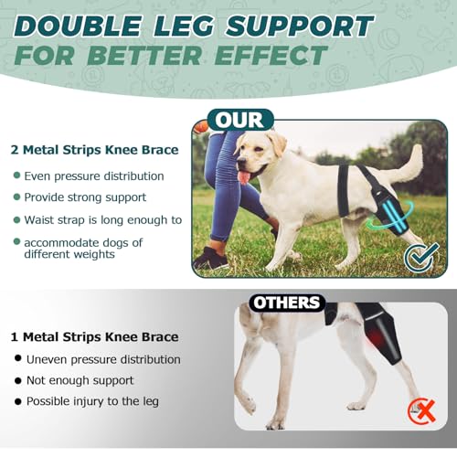 Image of Dog Knee Brace for Back Leg Fit Large to Small Dogs Strong Support Adjustable Dog Leg Braces with 2 Metal Strips for Hip Dysplasia, ACL, CCL, Ligament Injuries & Osteoarthritis (Right Leg, 2XL)