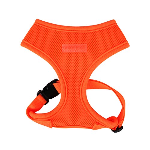 Puppia Hundegeschirr in Neonfarben - Hochwertig und Komfortabel - Auch als Welpengeschirr verwendbar, Orange, XS, PAPA-AC1325-OR-XS