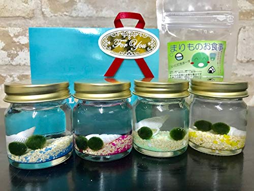 Amazon | 水草 星の砂入りまりも4色 栄養剤付きセット | AQUA