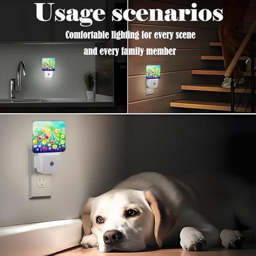 Image of Colorful Countryside Wildflowers Night Light,Plug Into Wall Decor for Stairway,Hallway,Kitchen,Dusk to Dawn Sensor Nightlights for Boys /Girls /Women /Men Room Gifts