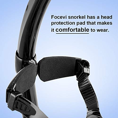 https://m.media-amazon.com/images/I/51qjqFAoSQL._SL500_.jpg