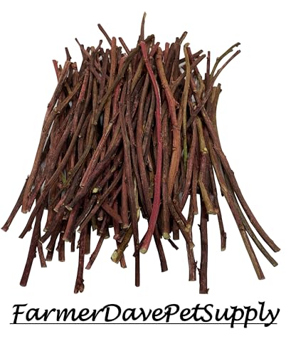 FarmerDavePetSupply 100 Blueberry Ultra Skinny Chew Twigs for Small Animals