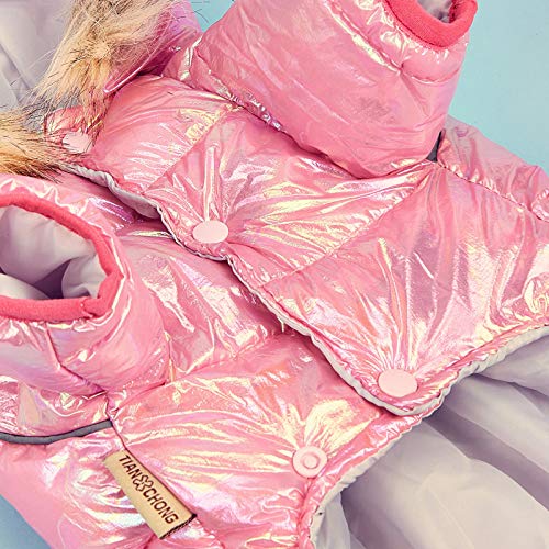 DECDEAL Roupas para animais de estimação Casaco impermeável para animais de estimação com chapéu Rou