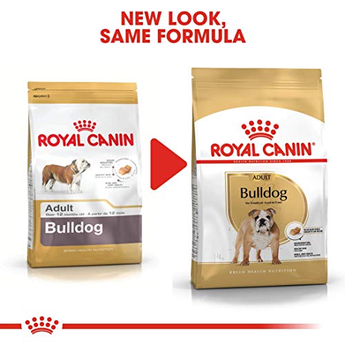 Royal Canin Bulldog Adult 12 kg, 1er Pack (1 x 12 kg)