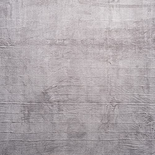 Trimate Electric Car Heating Blanket Plush 3 Heat Settings, Auto Shutoff, Washable, 55 X 40, Plugs Into Cars 12V And Trucks 24V Outlet, Great For Cold Weather, Tailgating, Emergency Kits, Gray #TOP6