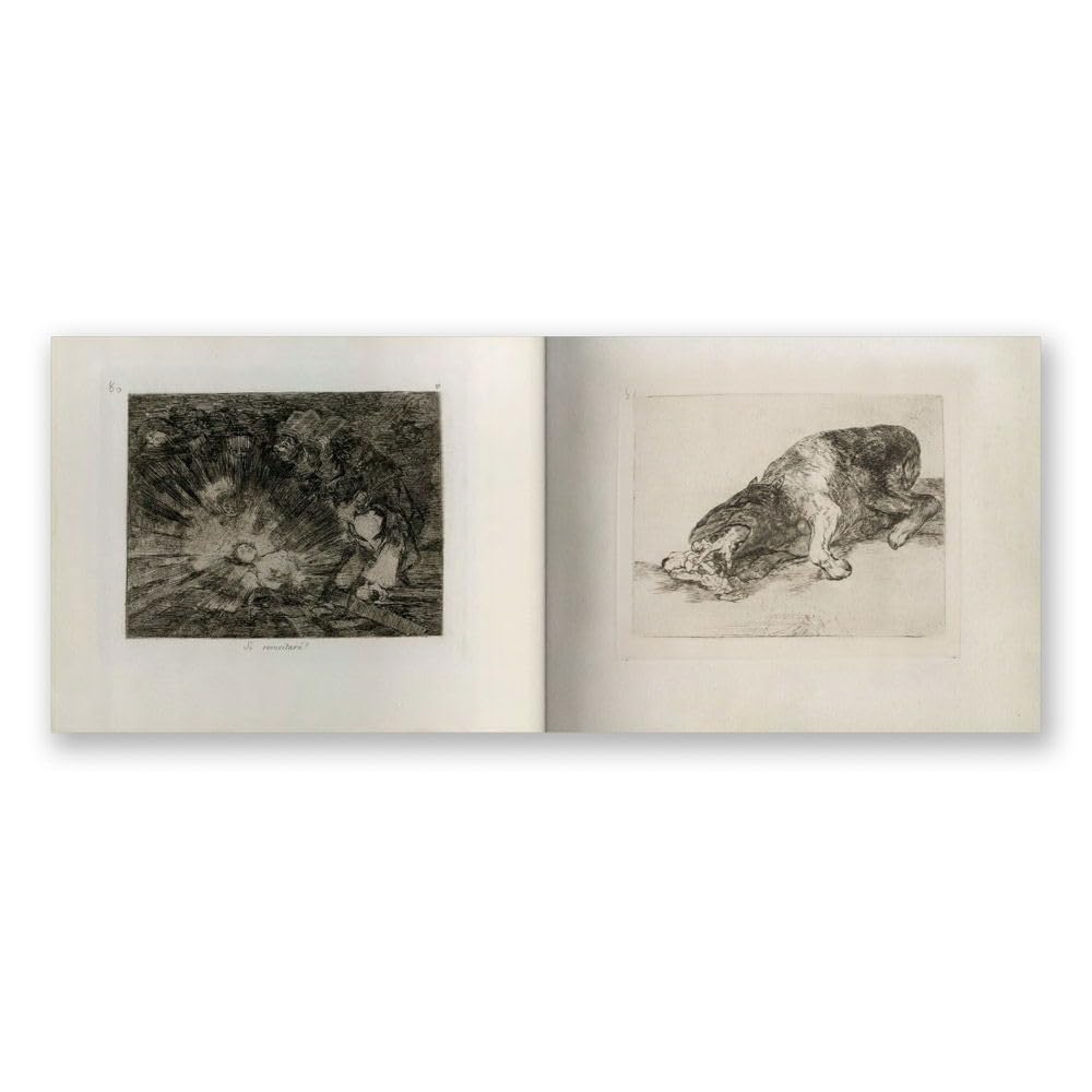 Goya: The Disasters of War /anglais