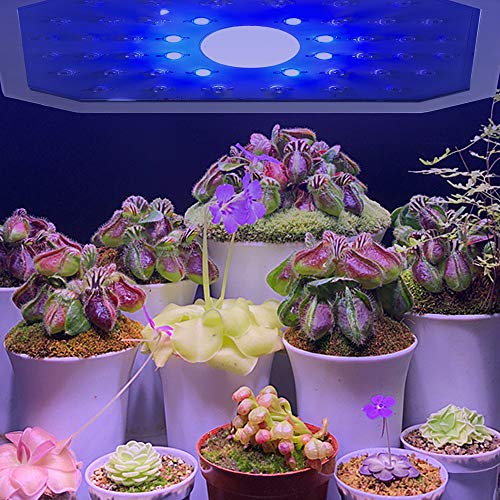 Ofadd Led Grow Light For Indoor Plants, 1000W Plant Growing Lamp With Dual Led Chips And Adjustable Coverage, Full Spectrum Plant Light For Seedling, Greenhouse, Hydroponic And Flowers #TOP7
