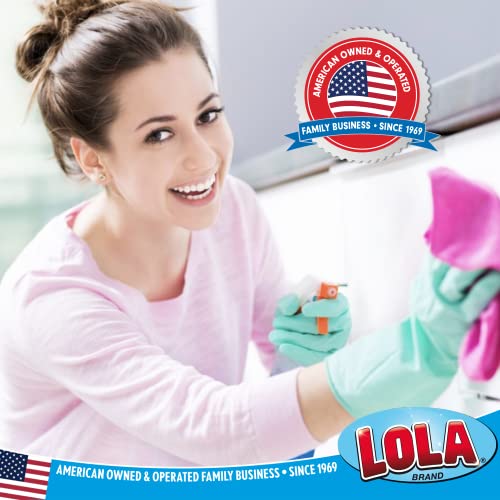 Image of LOLA Microfiber Terry & Nylon Net Sponge Scrubber Pad, Non Scratch 2-Way Cleaning, Gently Scrubs & Wipes Clean, 1 Count