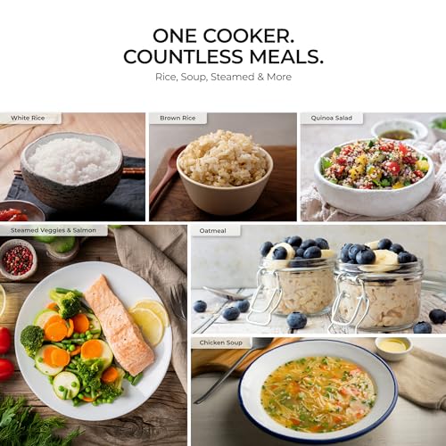 Image of CUCKOO Rice Cooker and Warmer, 20-Cup Cooked, White, CR-1095