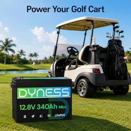 Image of Dyness 12V 340Ah Mini LiFePO4 Lithium Battery, Max.4352Wh, Built-in 200A BMS with Low-Temp Protection,10 Year Lifespan,Supports 4P4S Connection Up to 69.63kWh Perfect for Rv,Home Solar System,Off-Grid