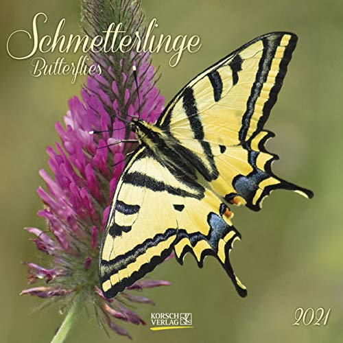 Vögel 2022 Wandkalender – 30 X 30 Cm, Mit Ferienterminen, Mehrsprachig, FSC Papier